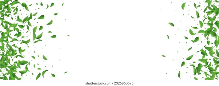 Green Foliage Wind Vector Panoramic White Background Illustration. Flying Greens Banner. Forest Leaf Fly Branch. Leaves Organic Backdrop.