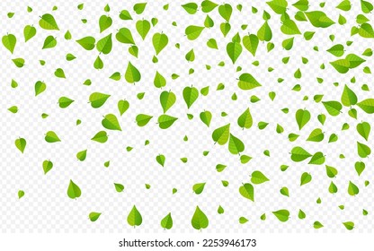 Green Foliage Wind Vector Transparent Background Design. Swirl Leaves Banner. Mint Greens Forest Template. Leaf Ecology Backdrop.