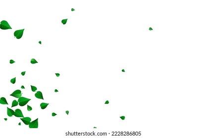 Green Foliage Wind Vector White Background Backdrop. Realistic Greens Concept. Grassy Leaf Fresh Border. Leaves Motion Plant.
