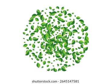 Green Foliage Wind Vector White Background. Falling Leaf Wallpaper. Olive Greens Transparent Banner. Leaves Swirl Plant.