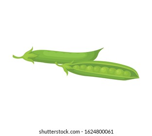 Green Food for Good Brain Function Isolated on White Background Vector Illustration
