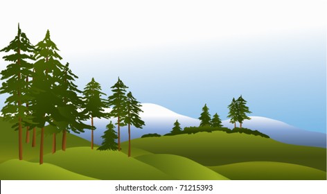 Green forest