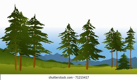 Green forest