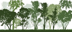 A Green Forest Of Australian Gum Tress With White Background