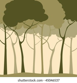 Green forest background