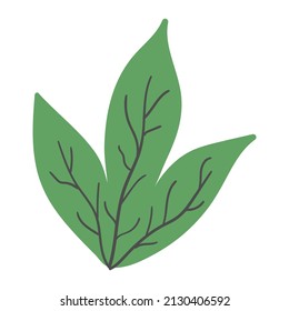 Green forest bush, grass isolated design element.