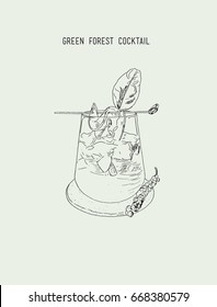 Green forest cocktail , sketch vector.. cucumber ,kaffar lime, mint , spice and herb mojito cocktail.