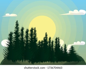 bosque verde de árboles de coníferas en un día despejado y soleado