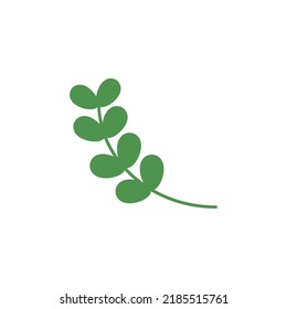 Green forest fern, green eucalyptu, greenery, art, foliage on white background.