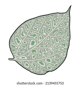 Green forest fern, hand drawn art foliage, made of real natural leaves. Park forest plants leaf, leaves and young ferns. Vector.