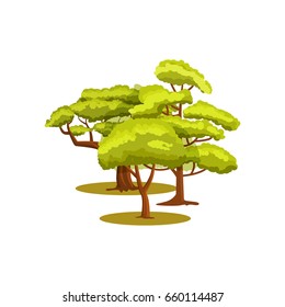 Green forest icon. Group of green trees in cartoon style vector illustration isolated on white background.
