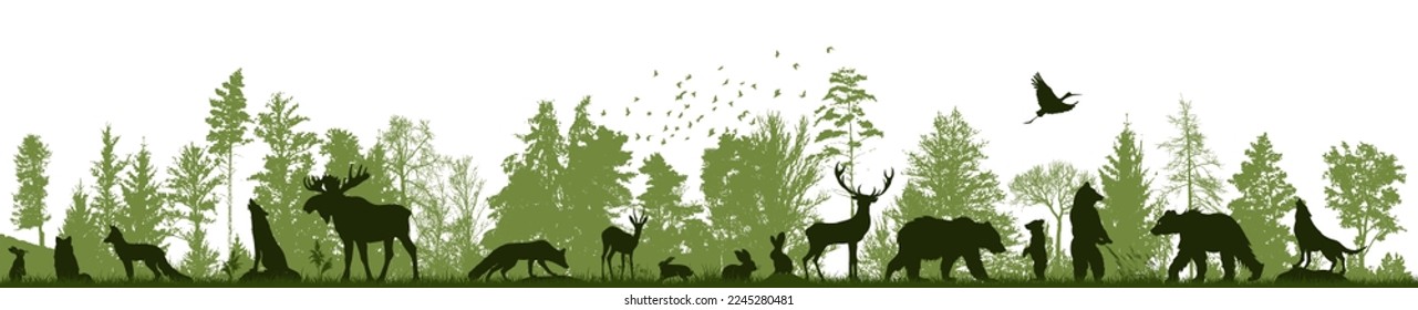 Green forest landscape with silhouettes of animals. Vector illustration