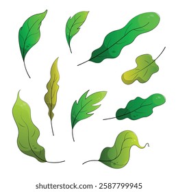 Green forest leaf set. Natural leaves herbs. Cartoon leaves collection, Flat cartoon isolated on white background.
