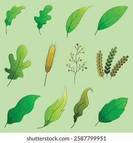 Green forest leaf set. Natural leaves herbs. Cartoon leaves collection.