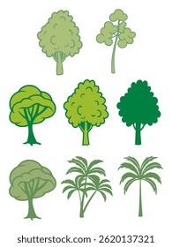 Naturaleza del bosque verde, sistema del árbol del bosque