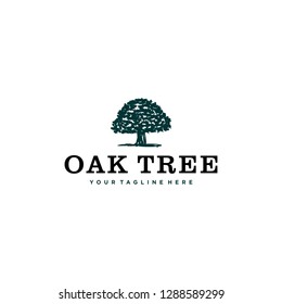 Green forest Oak tree logo template