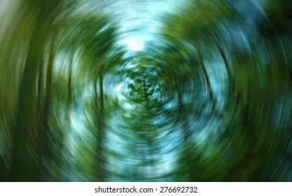 Green forest, radial blur background, vector, illustration