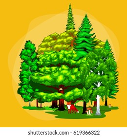 green forest summer trees collection in nature, pine with branch foliage and leafs isolated vector illustration, environment protection ecology concept, landscape design element for park or garden