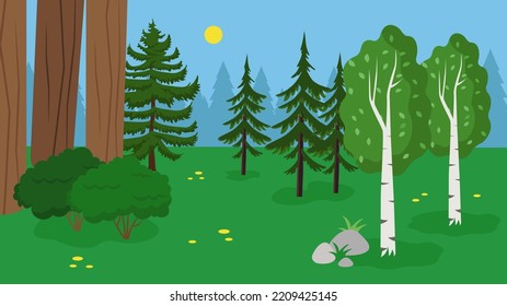 green forest in the sunset