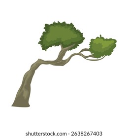 green forest trees with white background separate