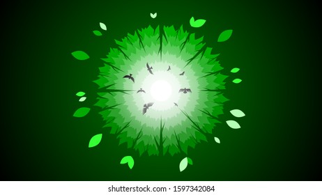 Green Forest Vector Background With Birds