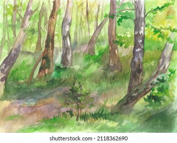 Green forest. Vector hand-drawn. Design of a children's room, interior, photo wallpaper, wallpaper, screensaver, background, book illustration,screensaver.