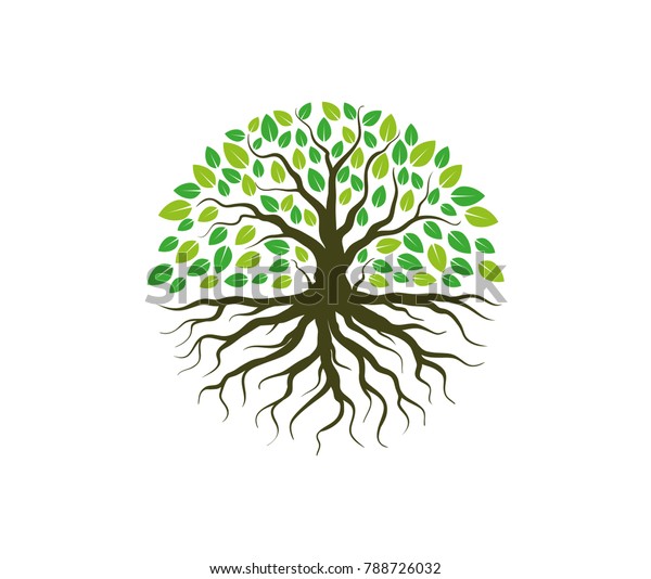 Vector De Stock Libre De Regalias Sobre Logotipo Del Arbol De Raiz Verde788726032