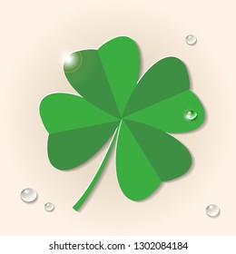 Green four leaf clover with water drops on beige background, flat vector illustration