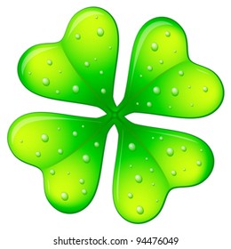 Green four leafs clover on a white background.