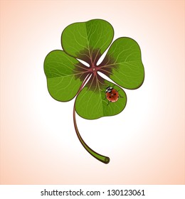 green four-leaf clover with ladybug