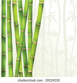 green frame in bamboo style