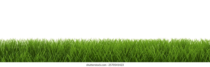 Green Frame Border And White Background , Vector Illustration