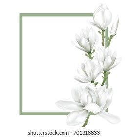 Green Frame Decorated With White Magnolia Blossom Flowers On White Background. Vector Illustration.