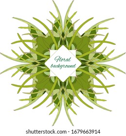 Marco verde para texto de un patrón natural geométrico. Ornamento vectorial con inscripción de texto. Elemento de diseño abstracto.