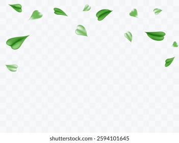 Green fresh air or wind effect set on transparent background. Glow swirl light. Green leaves fly. Realistic vector illustration