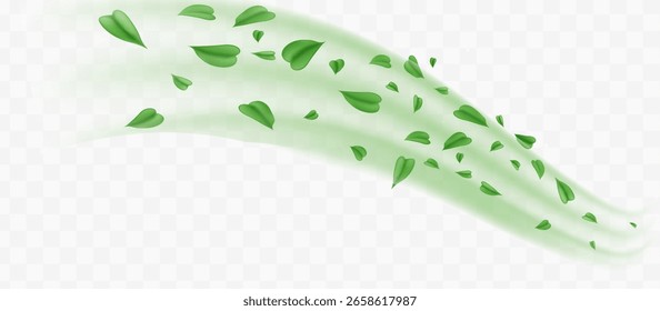 Efecto de aire fresco verde o viento sobre fondo transparente. Luz de remolino brillante. Las hojas verdes vuelan. Ilustración vectorial realista