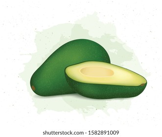 green fresh avocado vector illustration