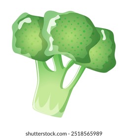 Green fresh broccoli vegetable isolated on white background. Healthy organic food concept . Calabrese broccoli icon. Vector illustration of vegetables in flat style