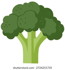 Green fresh broccoli vegetable isolated on white background. Calabrese broccoli icon. Healthy organic food concept. Vector illustration of vegetables in flat style.
