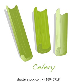 Green fresh celery. Stick isolated vector on white.