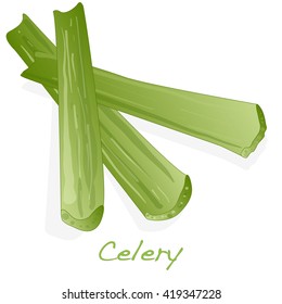 Green fresh celery. Stick isolated vector on white.