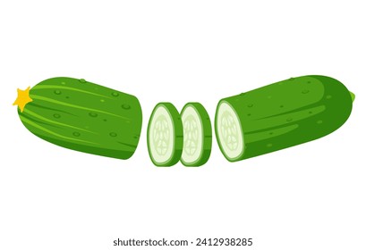 Green fresh cucumber cut into pieces. Cucumber plant with slices. Organic vegetables vegetarian food. Vector illustration isolated on white background.