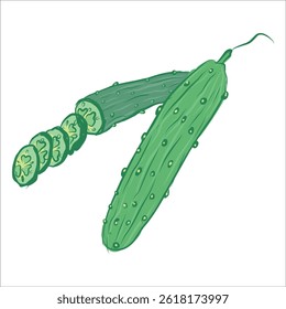 Green fresh cucumber. Sliced. Vector illustration.