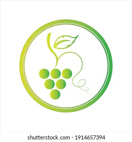 green fresh Grapes icon vector illustration design template