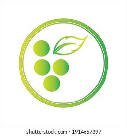 green fresh Grapes icon vector illustration design template