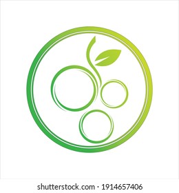 green fresh Grapes icon vector illustration design template