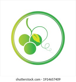 green fresh Grapes icon vector illustration design template