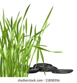 green fresh grass and black stones on white background