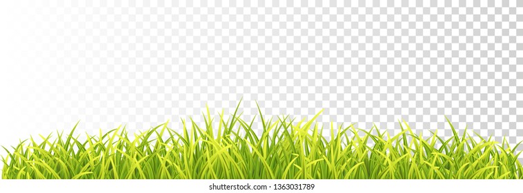 Green Fresh Grass Border Isolated On Transparent Background. Vector Photo Realistic Blades illustration. Front View