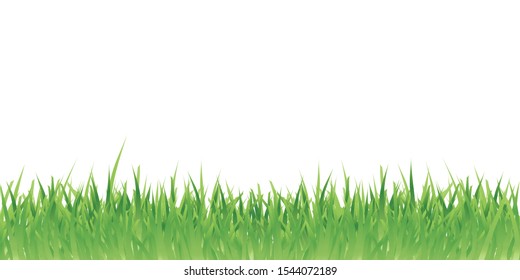 Green fresh grass on a white background illustration banner